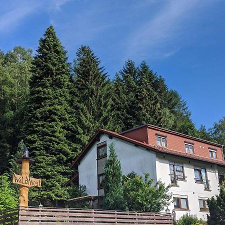 Hotel Waldnest Odenwald Esterno foto