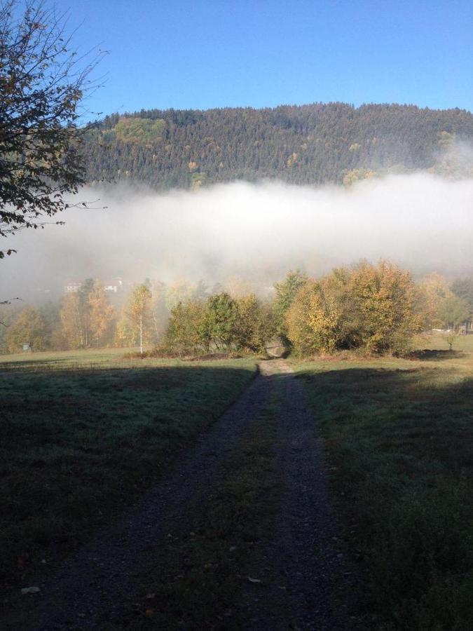 Hotel Waldnest Odenwald Esterno foto