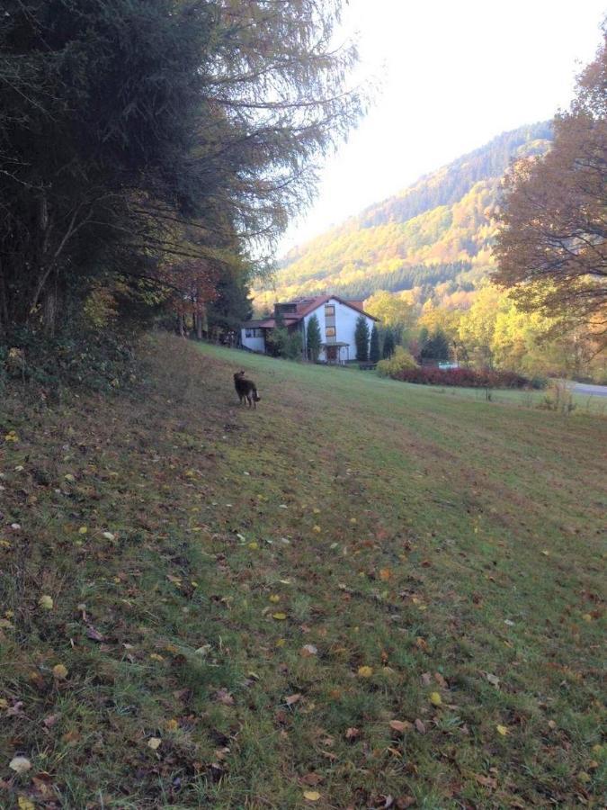 Hotel Waldnest Odenwald Esterno foto